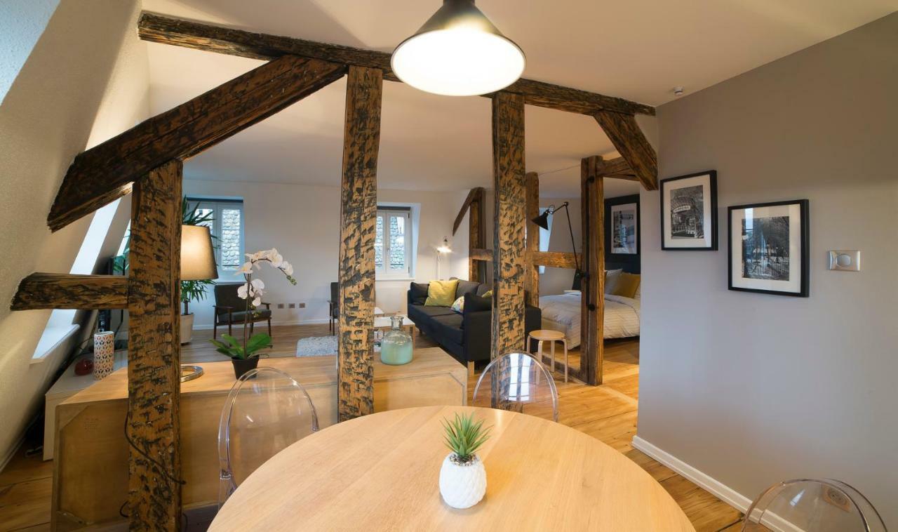Appartement Cocoon Hypercentre Straatsburg